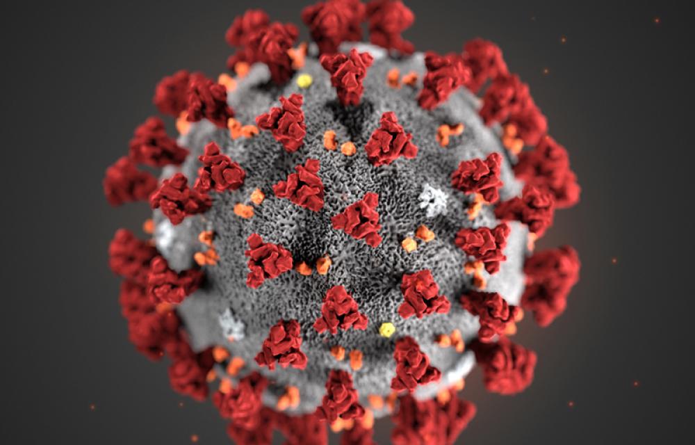 WHO establishes new scientific group to study COVID origins, prevent future pandemics WHO establishes new scientific group to study COVID origins, prevent future pandemics