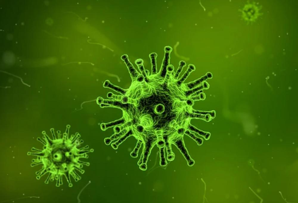US vaccine advisory committee recommends Pfizer COVID vaccine for children 5-11 years old US vaccine advisory committee recommends Pfizer COVID vaccine for children 5-11 years old
