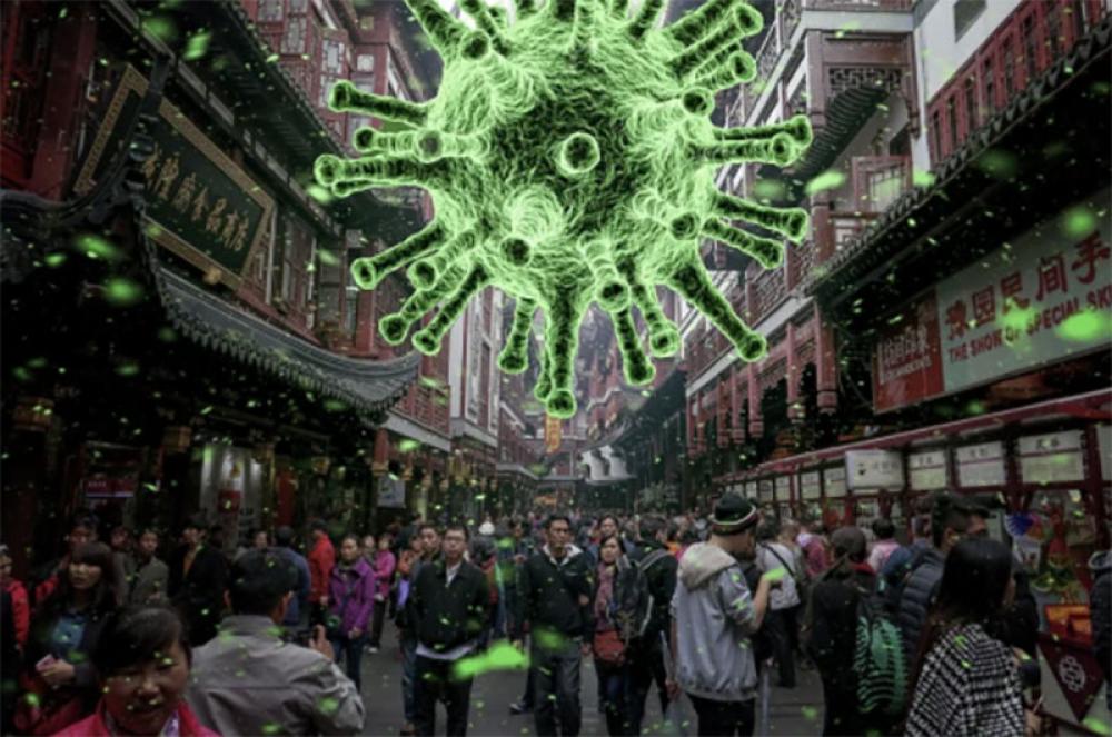 Chinese mainland reports 57 locally transmitted Covid-19 cases Chinese mainland reports 57 locally transmitted Covid-19 cases