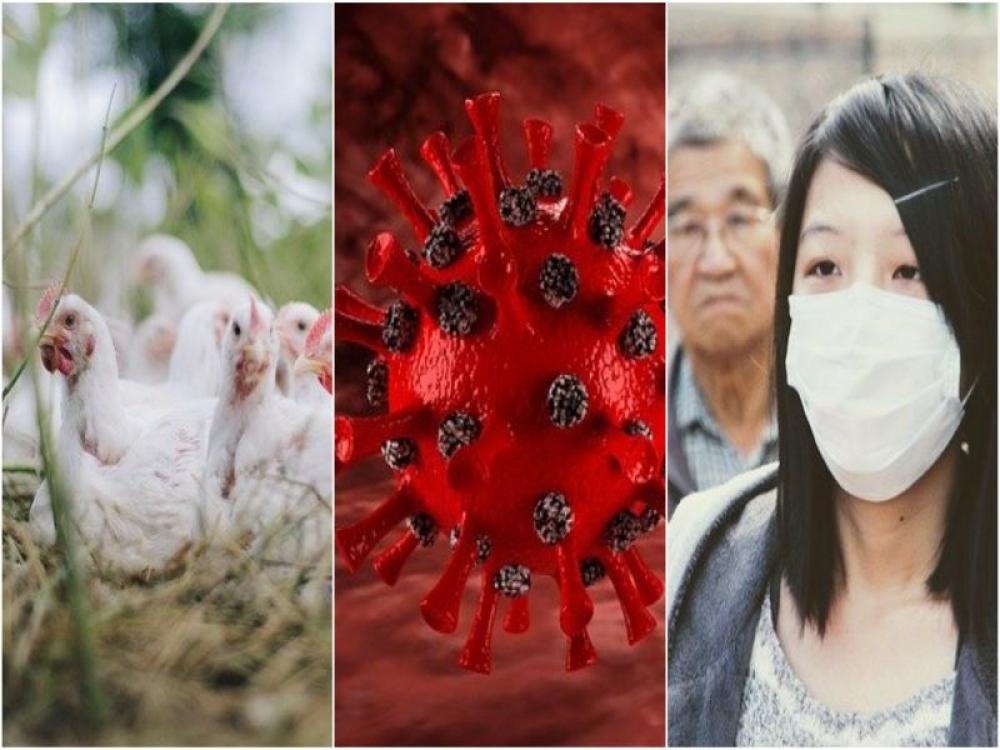 After Covid19, China reports another first as man contracts H10N3 strain of bird flu