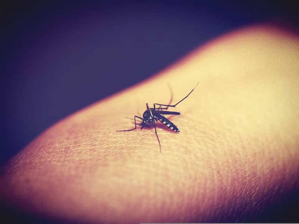 Pakistan registering spike in Dengue cases