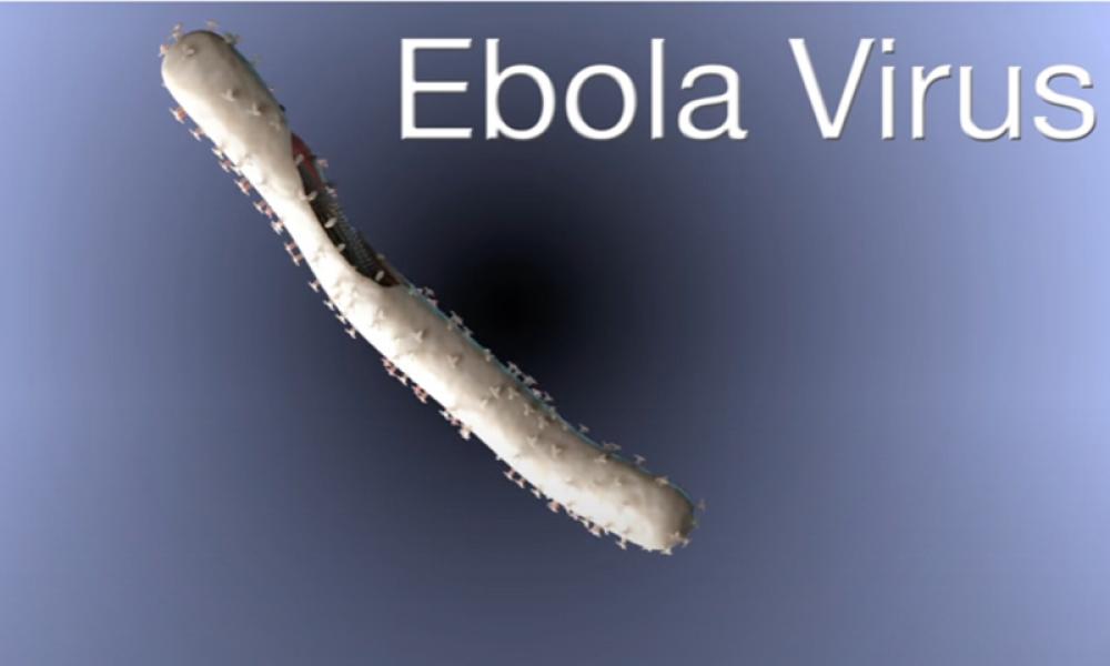 Uganda: Three people test positive for Ebola virus