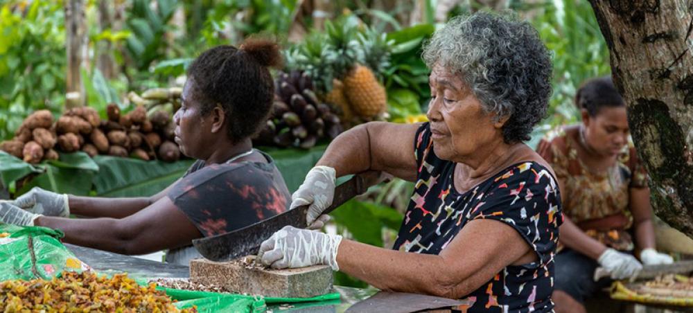 Small island States to accelerate action on preventable diseases, mental health