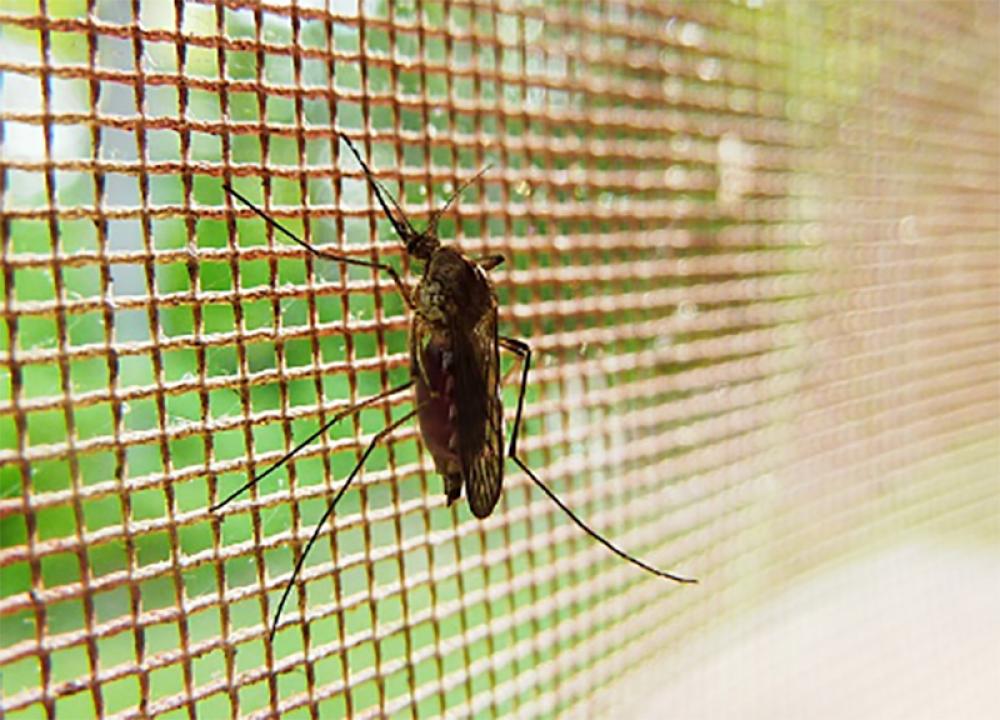 Bhutanese govt aims to eliminate malaria by 2025