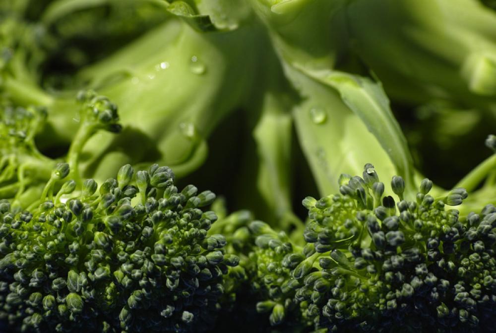 Check out the health benefits of Brocolli consumption, study reveals