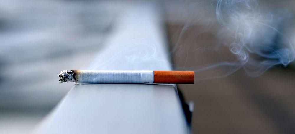 Tobacco consumption witnessing global decline, says WHO