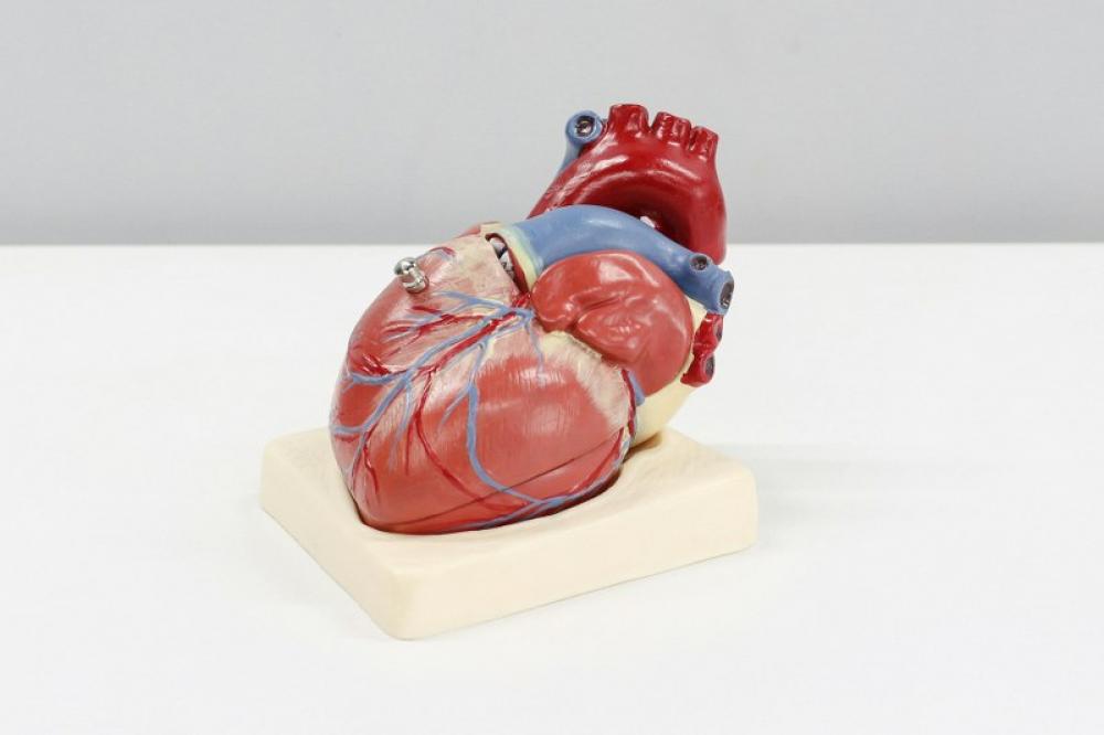 New study finds heart disease deaths worldwide linked to chemical widely used in plastics