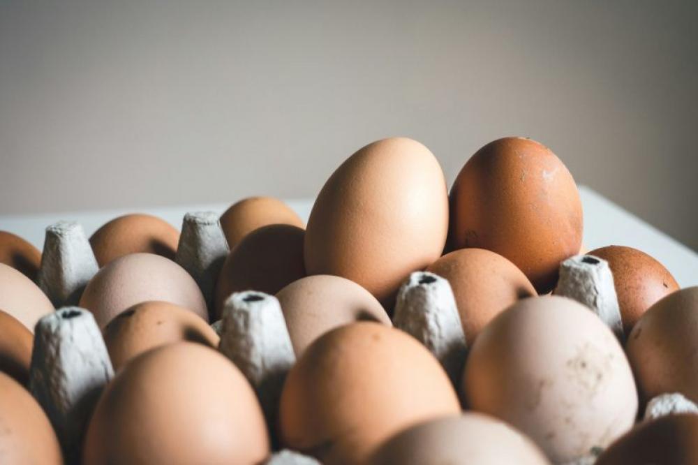 Could eggs be the secret to lower Alzheimer&rsquo;s risk? Study says yes