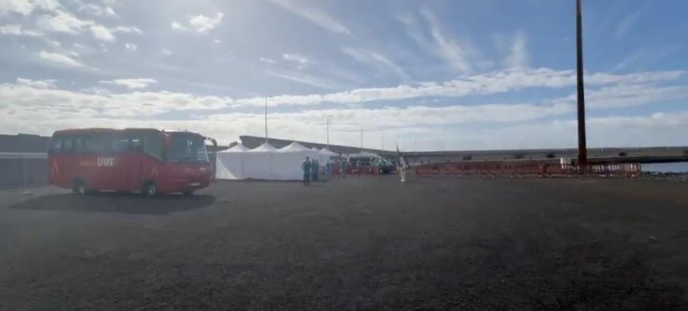 Deadly virus fear at sea: Passengers exit hantavirus-hit cruise in Tenerife