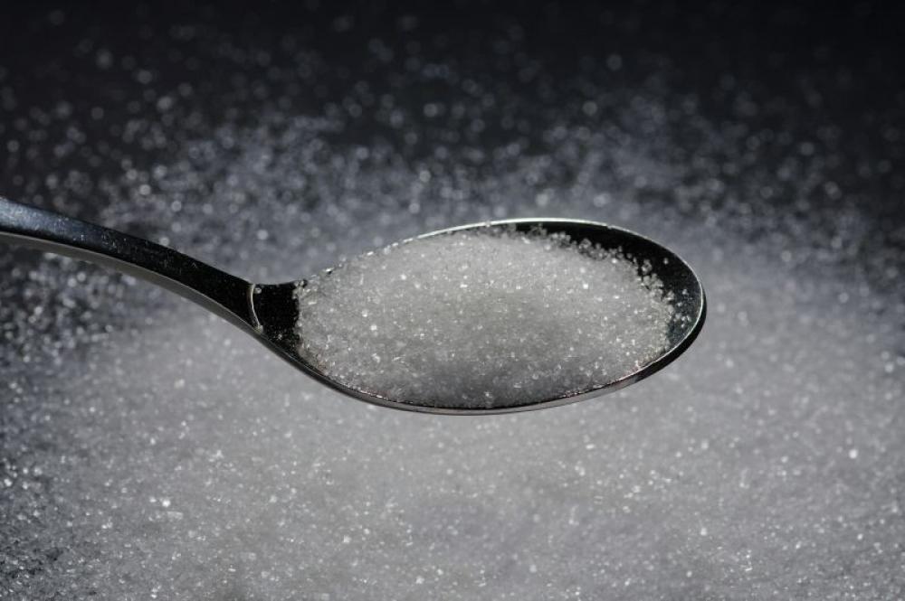 Sugar in first 1,000 days may shape anxiety risk in adulthood, scientists find 