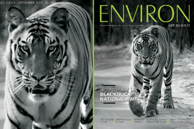Kolkata hosts re-launch of environmental magazine 