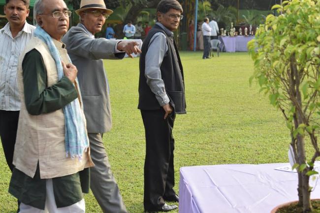 Kolkata to witness the AHSI’s House Plant Show 2016 Kolkata to witness the AHSI’s House Plant Show 2016