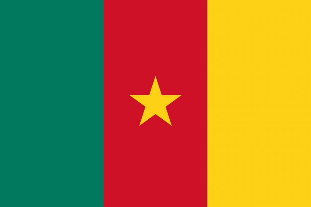 One soldier killed in rare ambush in Cameroon