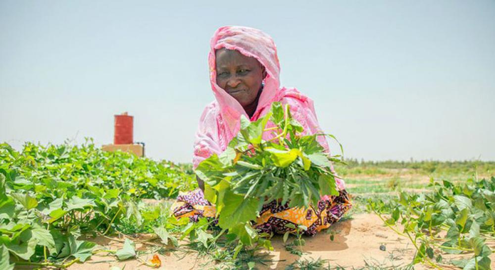 UN chief announces major push to transform harmful food systems