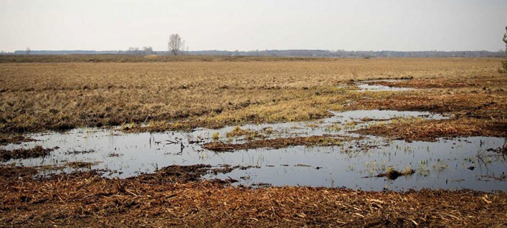 UN agencies shocked by deaths near Belarus-Poland border