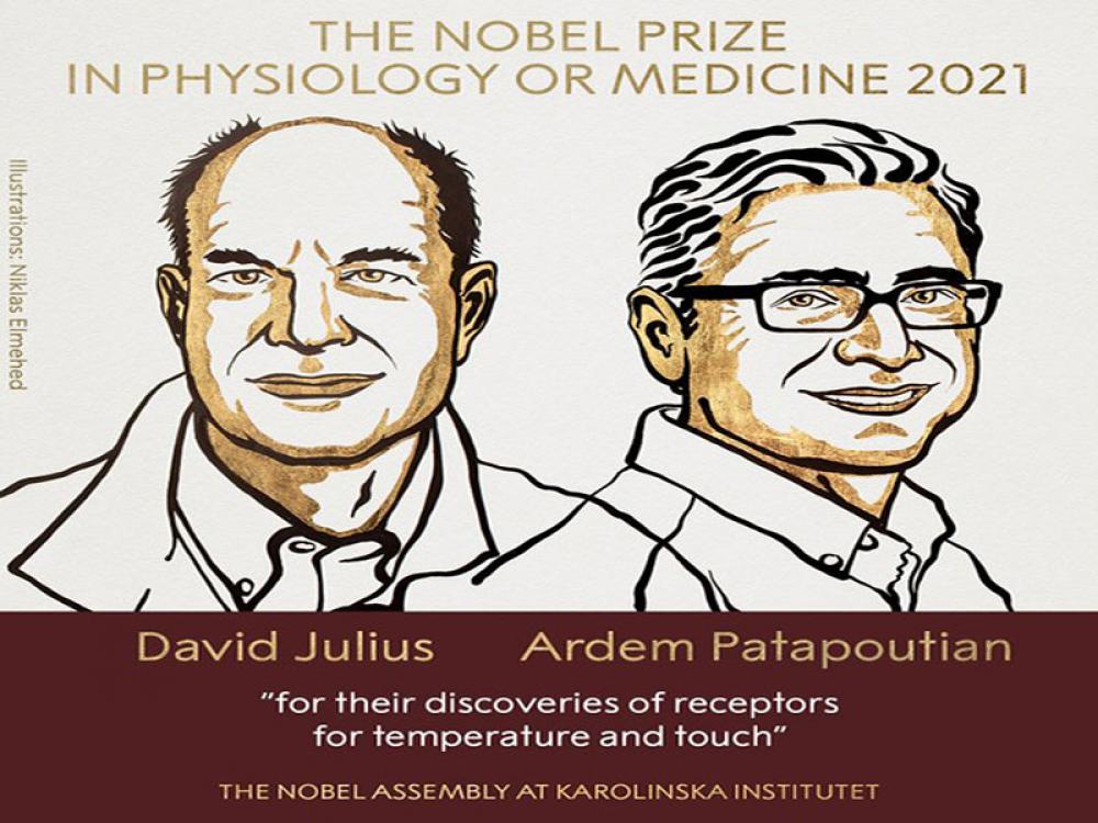 American scientists David Julius and Ardem Patapoutian awarded Nobel Prize for Medicine 