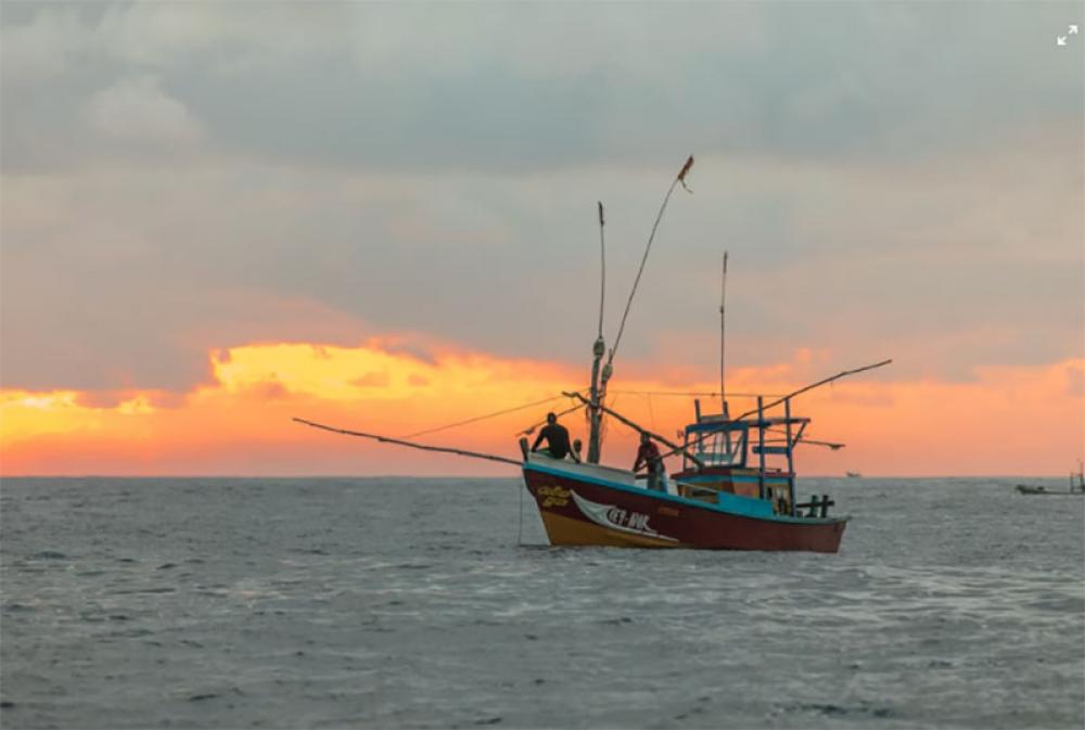 Chinese squid vessels spotted illegally hauling Tuna in Indian Ocean