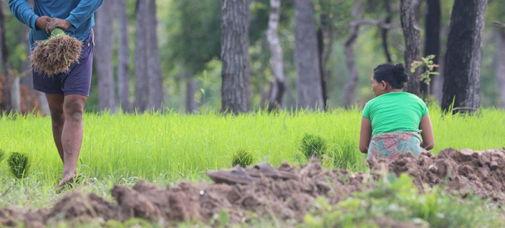 High-level UN conference debates precious commodity: Land High-level UN conference debates precious commodity: Land