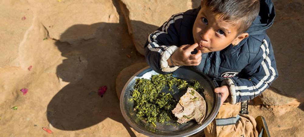 ‘Coalition of the willing’ to ensure healthy diets from sustainable food systems ‘Coalition of the willing’ to ensure healthy diets from sustainable food systems