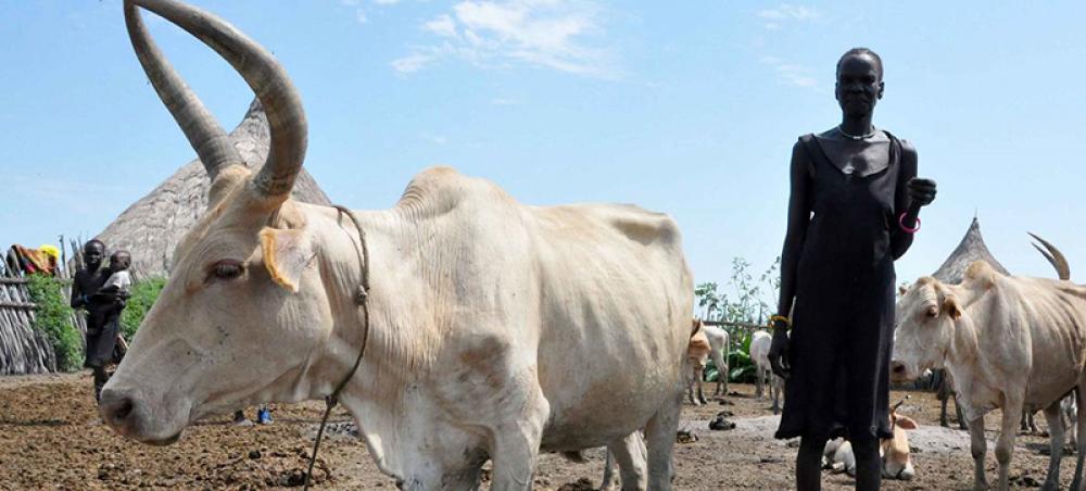 FAO ramps up support to Sudan farmers as starvation threat grows in East Africa