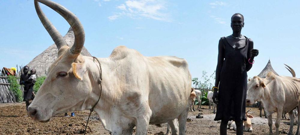 FAO ramps up support to Sudan farmers as starvation threat grows in East Africa FAO ramps up support to Sudan farmers as starvation threat grows in East Africa