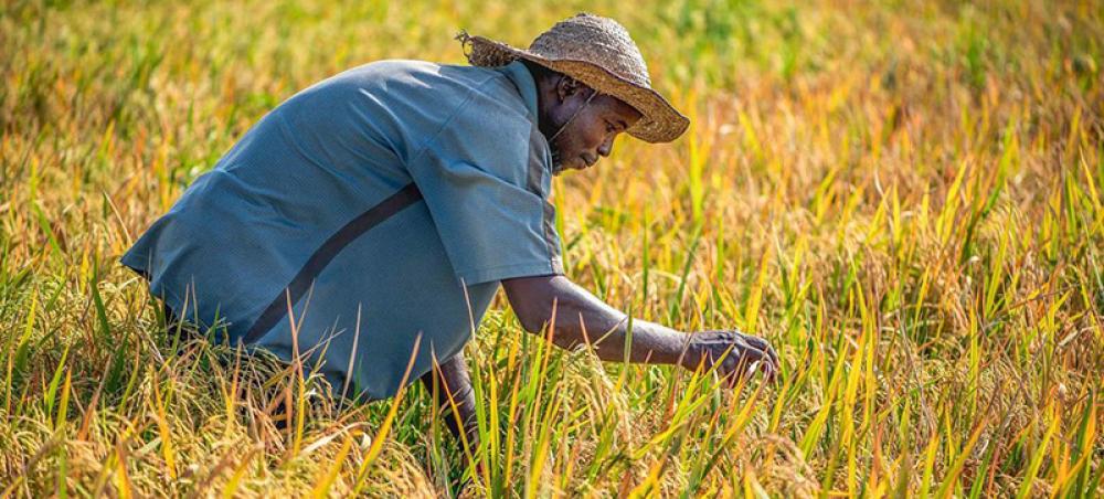 Act now to end food, energy and finance crisis, Guterres urges world leaders