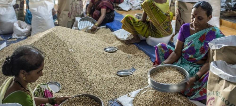 World’s most vulnerable now paying even more, for less food: FAO