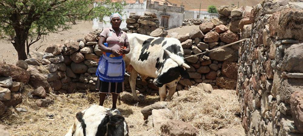 Cabo Verde: ‘Unprecedented’ food insecurity triggers social and economic emergency Cabo Verde: ‘Unprecedented’ food insecurity triggers social and economic emergency
