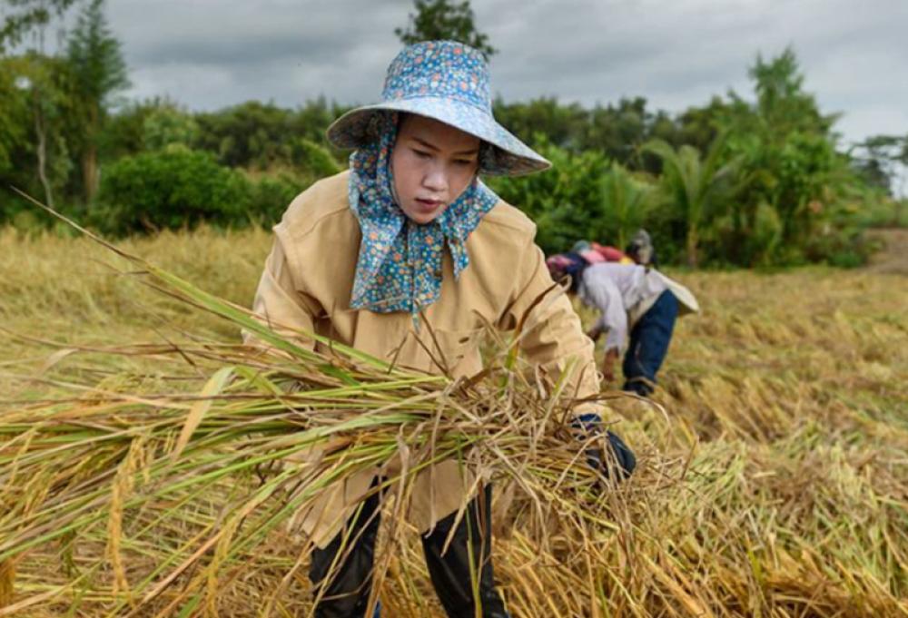 UN and partners meet to address ‘critical’ state of global food crisis