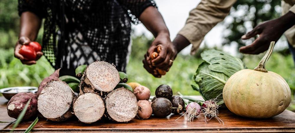 Global food crisis: Let’s move from ‘despair to hope and action’, urges Guterres