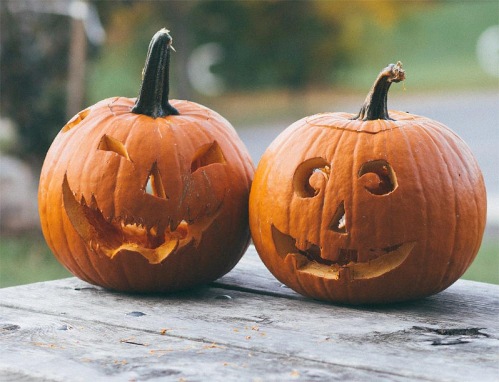 Canada: More than 40 Toronto parks to host Pumpkin Festival, parades on Nov 1