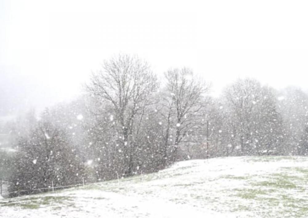 Afghanistan: 12 children die due to heavy snowfall in Kunar