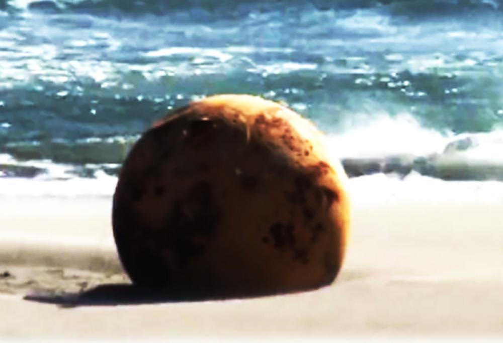 Japanese authorities remove mysterious metal ball which washed up on Hamamatsu beach