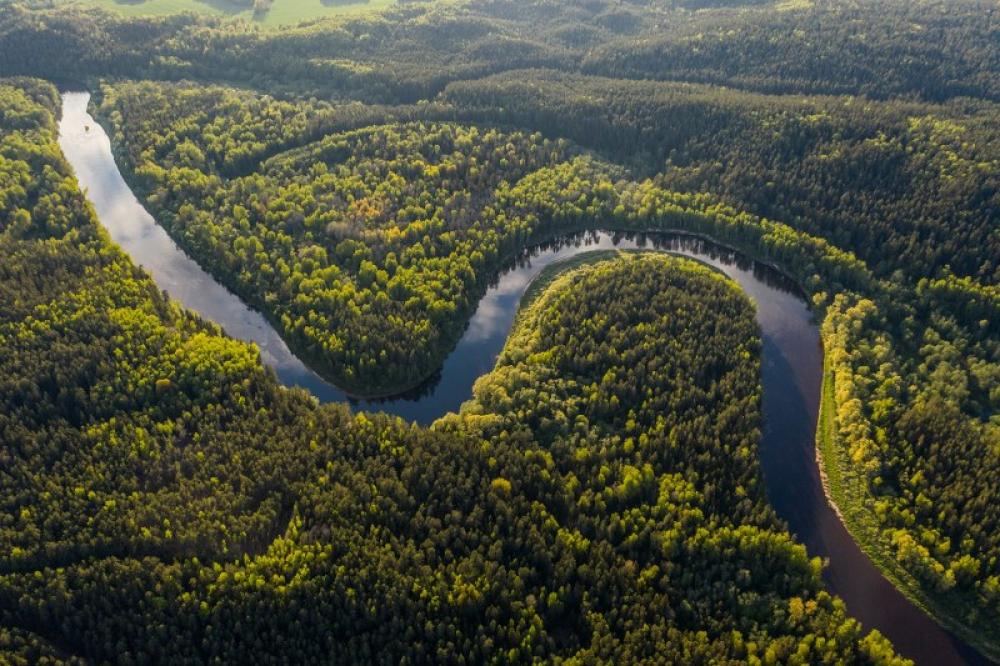 Colombia: Children recovered from Amazon jungle after 40 days since their plane crashed