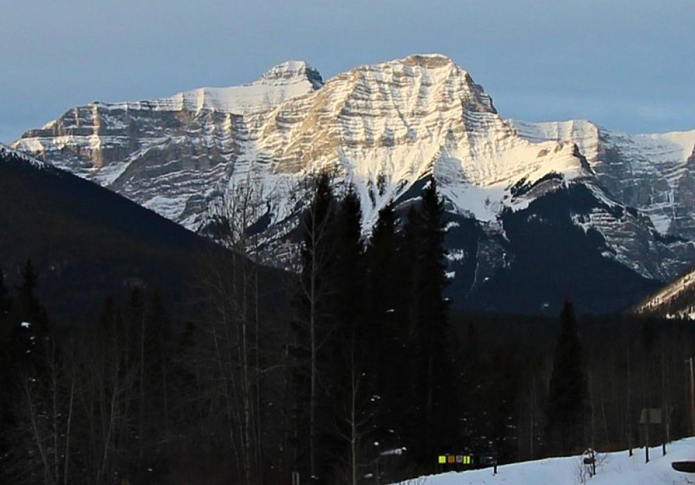 Canada: Plane crash in Calgary leaves six people dead