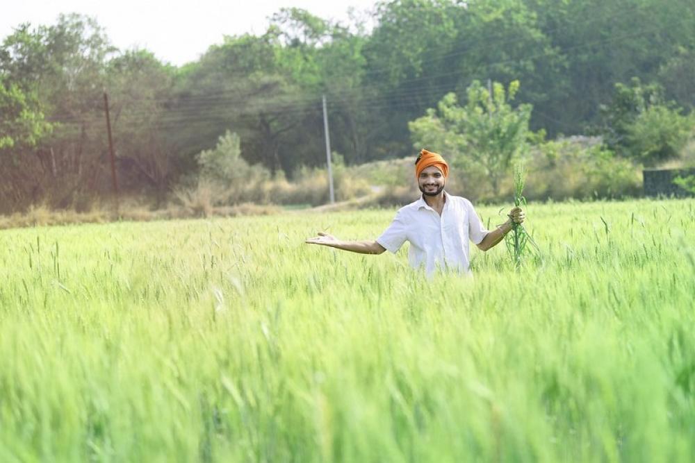 Global food prices decline further in January: FAO