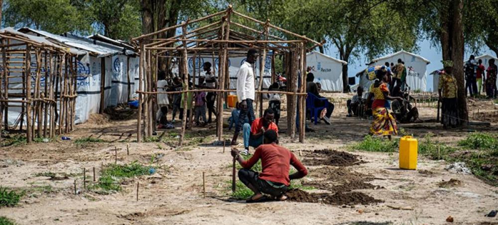 Tens of thousands displaced in fresh violence in DR Congo