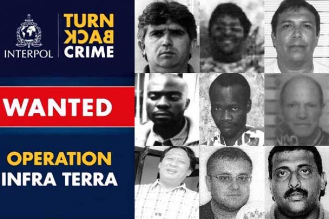 UN-backed treaty, INTERPOL operation targets ‘most wanted’ environmental fugitives