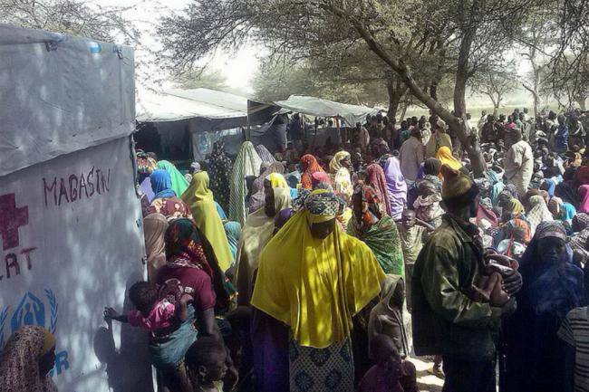 Security Council condemns Boko Haram attacks along Chad-Cameroon border