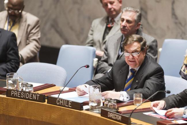 Security Council strongly condemns escalating Boko Haram attacks, warns of ‘crimes against humanity’