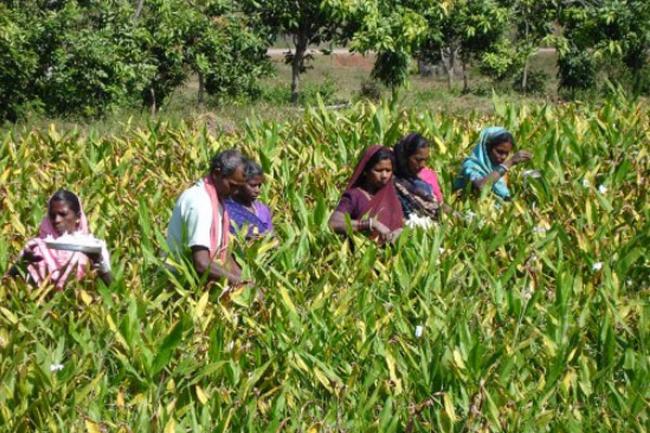 Chhattisgarh:Bastar Division: Final Maoist Bastion 