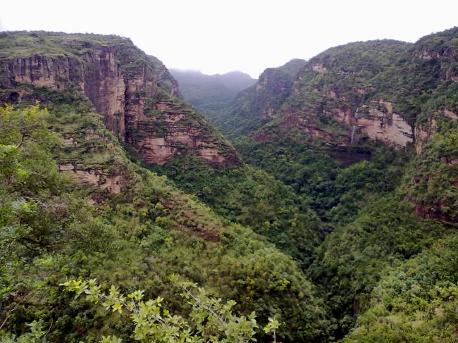 Maoists: Fighting amidst Losses 