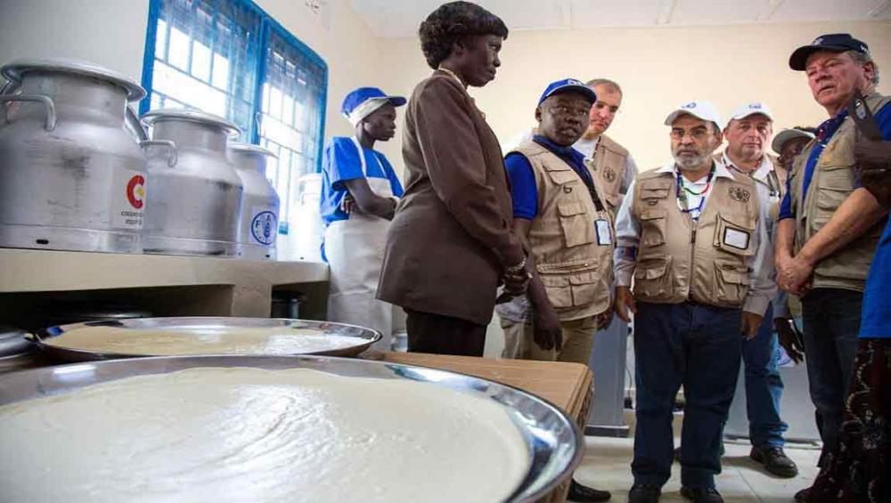 South Sudan: ‘Fighting must stop now’ so millions can be spared from famine, say UN agency chiefs