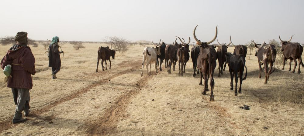 Hunger surges amid deadly conflicts, poor weather conditions in many countries – UN agriculture agency