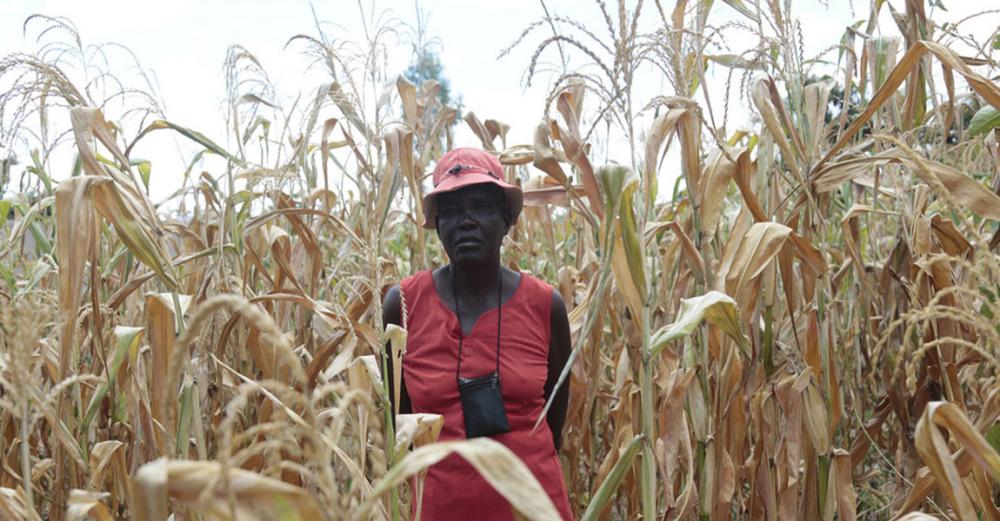 Zimbabwe ‘facing worst hunger crisis in a decade’