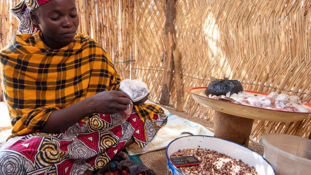 Growing a future free of terrorism: UN News special report from Cameroon