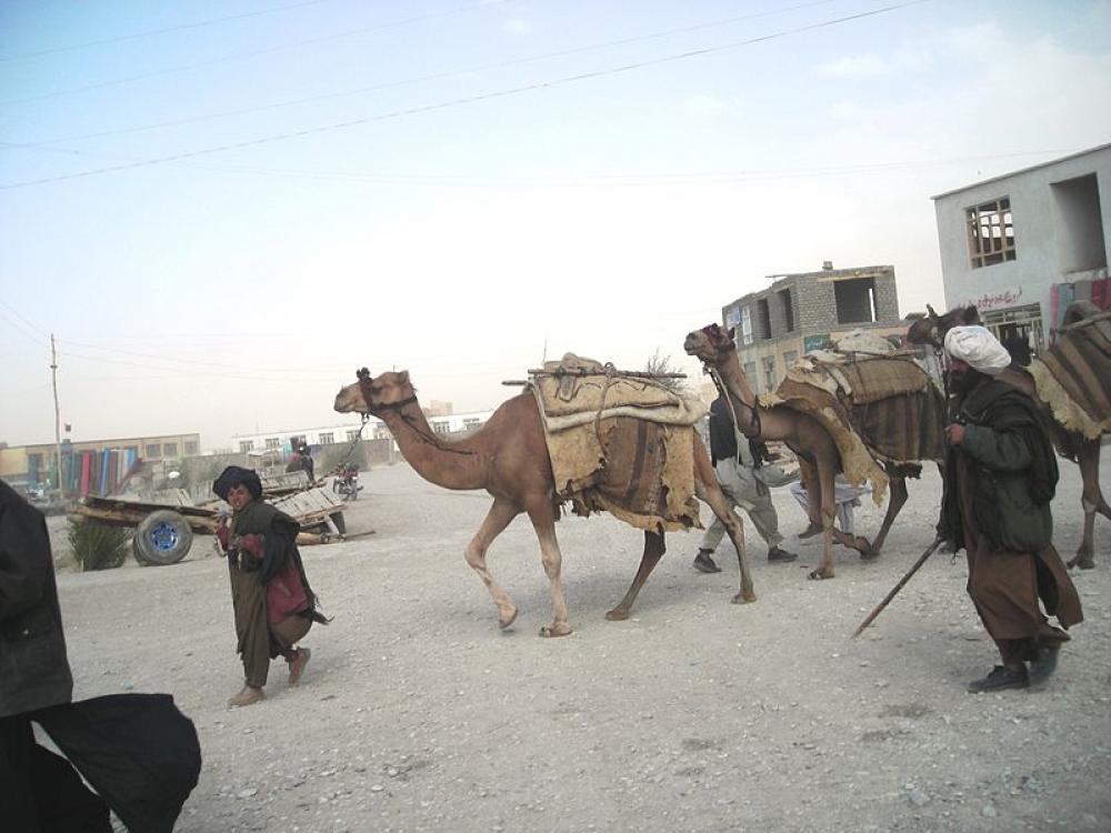 Afghanistan: Car bomb blast in Ghor leaves 12 civilians killed Afghanistan: Car bomb blast in Ghor leaves 12 civilians killed