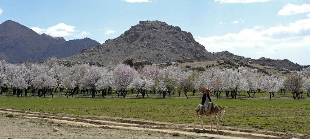 Roadside bombing in Afghanistan