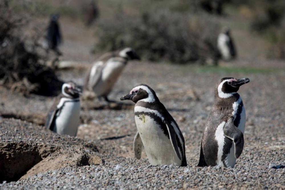 The world in photos : APR 2,2019