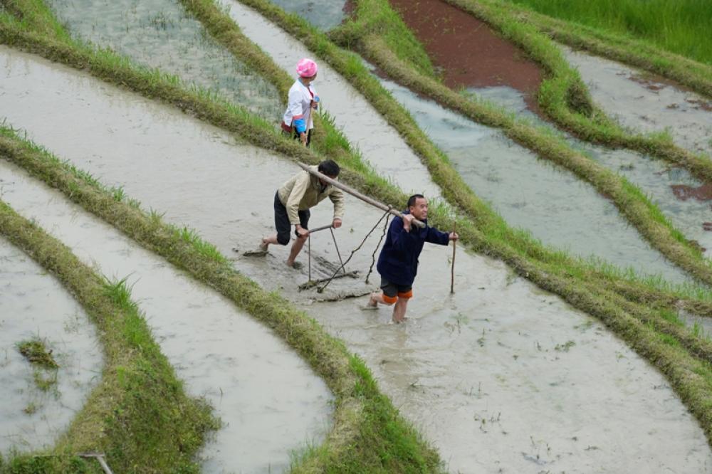 World in Photos: May 2, 2019